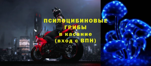 круглые Алзамай