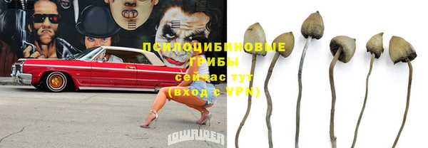 гидропоника Алексин