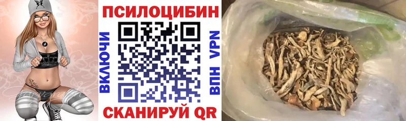 Галлюциногенные грибы GOLDEN TEACHER  блэк спрут зеркало  Катайск 